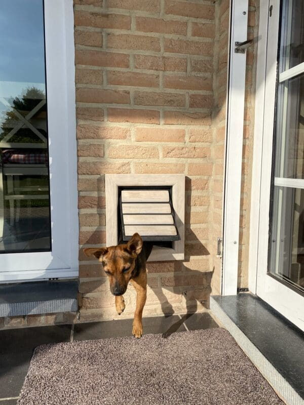 Qualitative cat flaps and dog doors Draughtfree, Secure