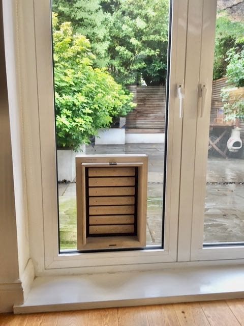 Quiet dog sales door