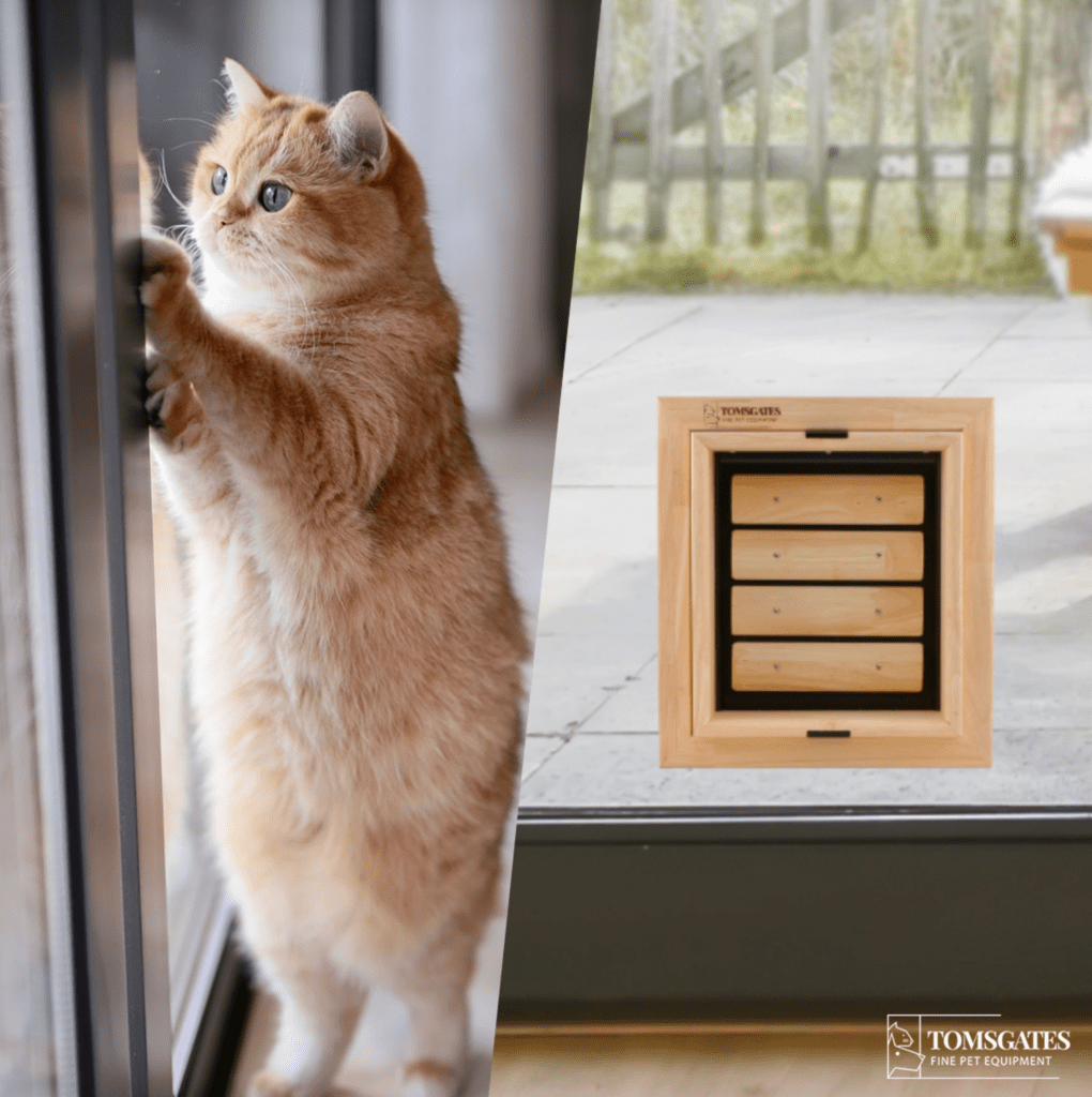 Kattenluik in dubbel geïsoleerd glas van een schuifraam geïnstalleerd door Tomsgates. tochtvrij en inbraakveilig.