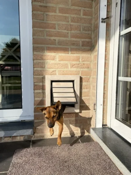 Afbeelding zonder ALT