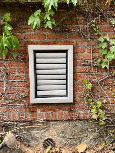 Extra groot hondenluik voor zeer grote honden dat geïnstalleerd is in de muur - Tomsgates kattenluik, Tomsgates hondenluik, Kwalitatief kattenluik, Tochtvrij kattenluik, Veilig kattenluik, Stil kattenluik, Houten kattenluik